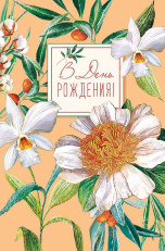 В День Рождения!